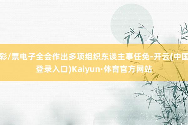 彩/票电子全会作出多项组织东谈主事任免-开云(中国登录入口)Kaiyun·体育官方网站