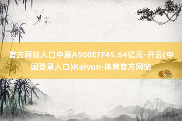 官方网站入口中原A500ETF45.64亿元-开云(中国登录入口)Kaiyun·体育官方网站