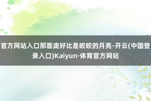 官方网站入口那面庞好比是皎皎的月亮-开云(中国登录入口)Kaiyun·体育官方网站