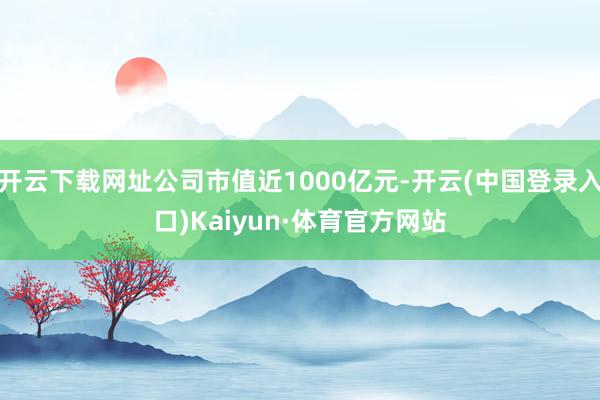 开云下载网址公司市值近1000亿元-开云(中国登录入口)Kaiyun·体育官方网站