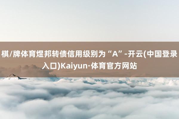 棋/牌体育煜邦转债信用级别为“A”-开云(中国登录入口)Kaiyun·体育官方网站