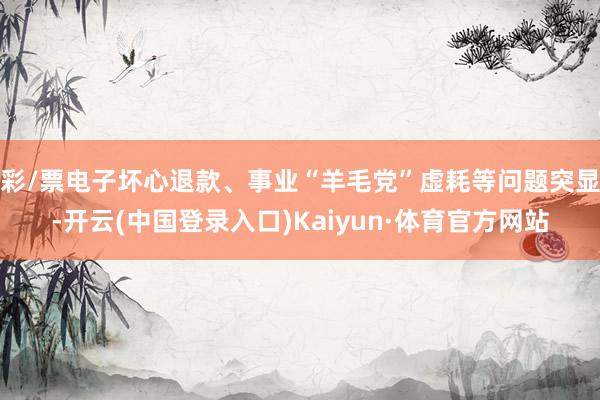 彩/票电子坏心退款、事业“羊毛党”虚耗等问题突显-开云(中国登录入口)Kaiyun·体育官方网站
